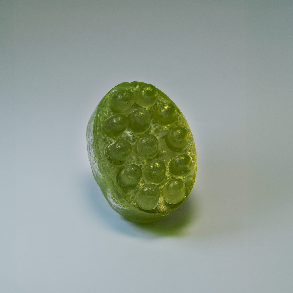 Loofah Touch