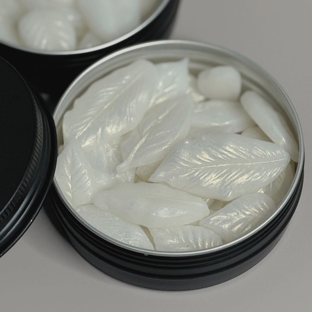 TRAVEL SOAP