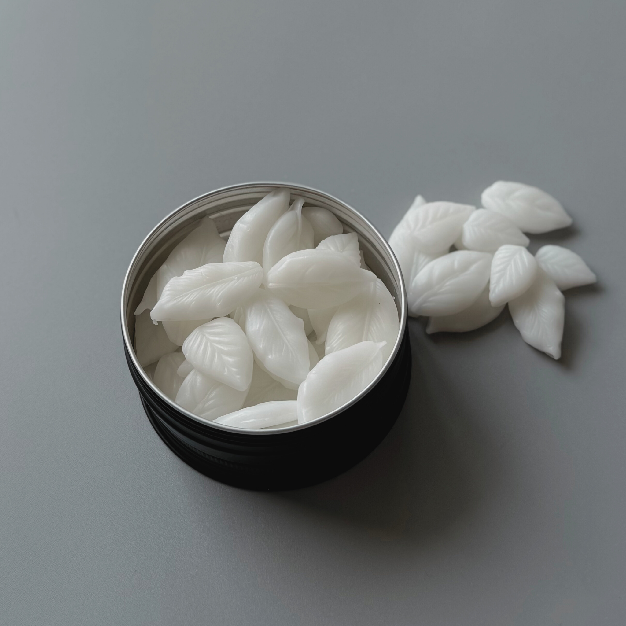 TRAVEL SOAP