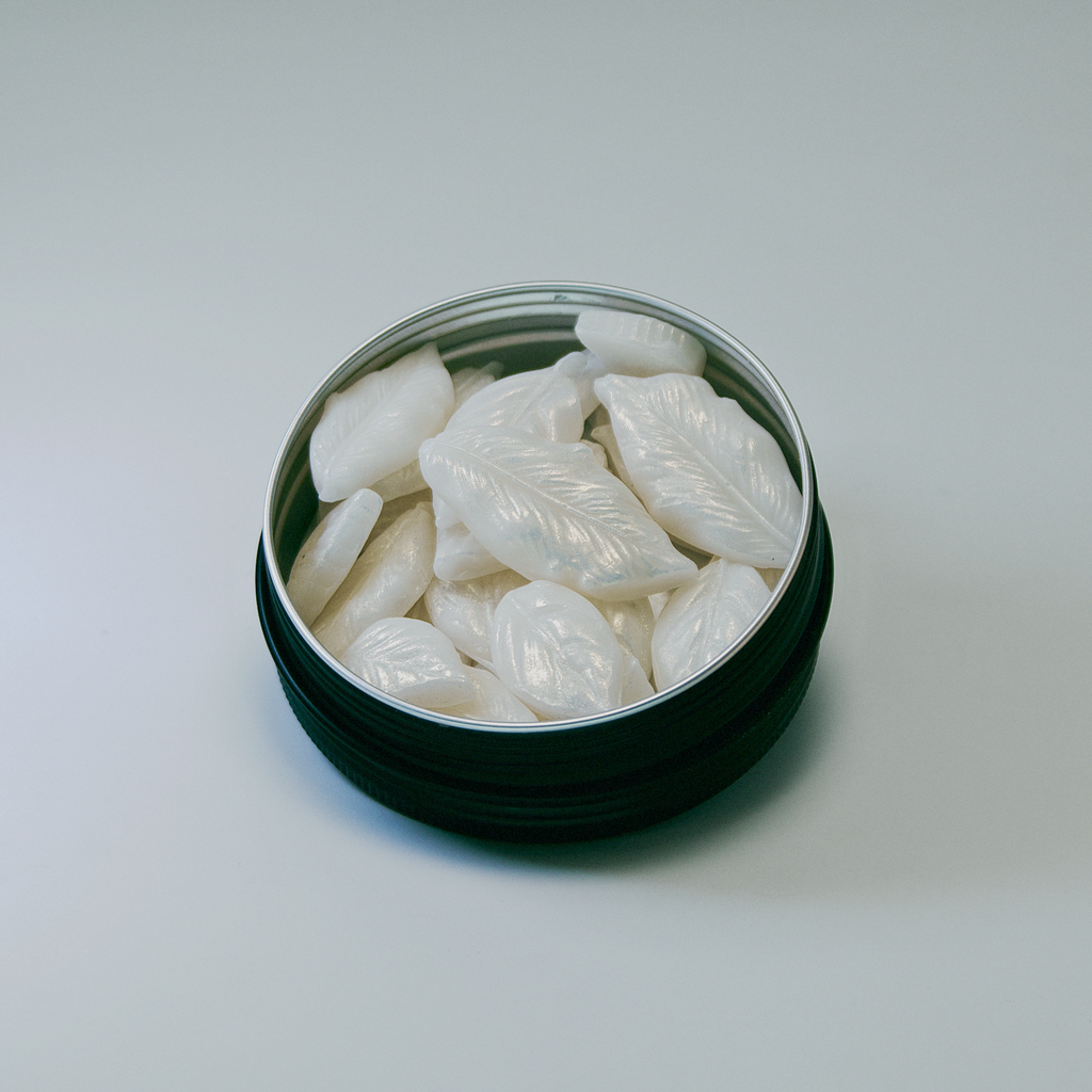 TRAVEL SOAP