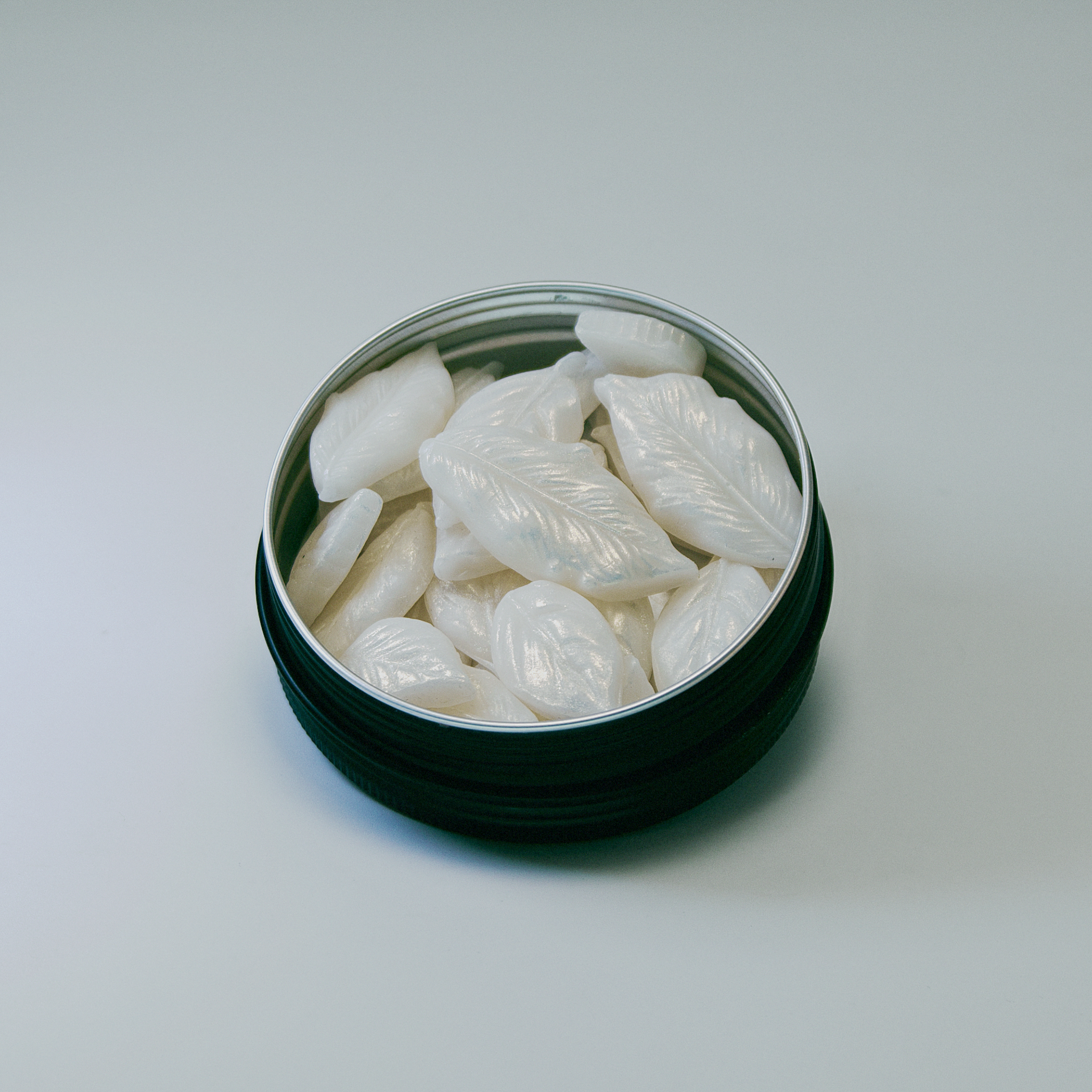 TRAVEL SOAP